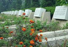 华北军区烈士陵园内的烈士墓