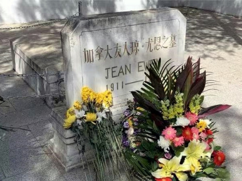 圖片