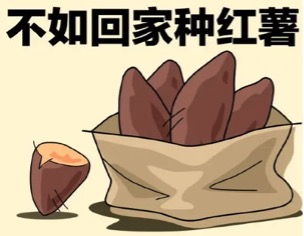 陈先义：兰考在念红薯经