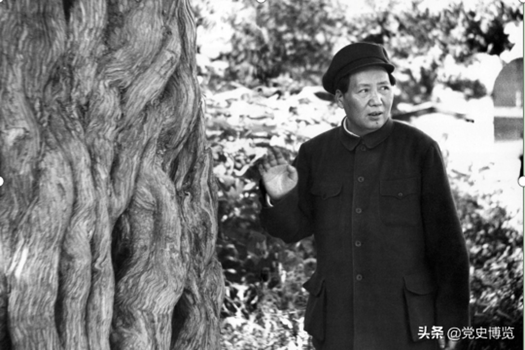 毛泽东评说王明和博古