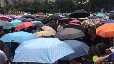 香港七一游行又成大杂烩 “真普选”、同性恋、动保组织同上街