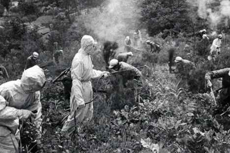 《毛泽东年谱》记载的美国细菌战