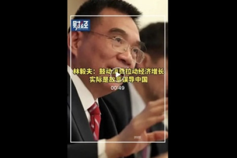 赵磊：与林毅夫商榷：中国的经济到底靠什么拉动？