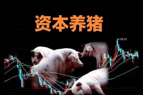 养猪行业“资进民退”的危害！