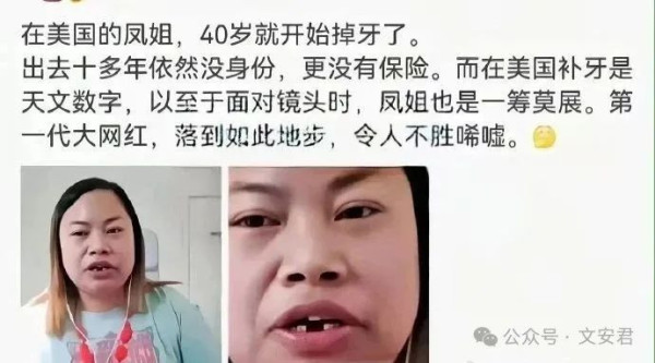 凤姐：被忽悠瘸了的一代人所幻想的美国梦