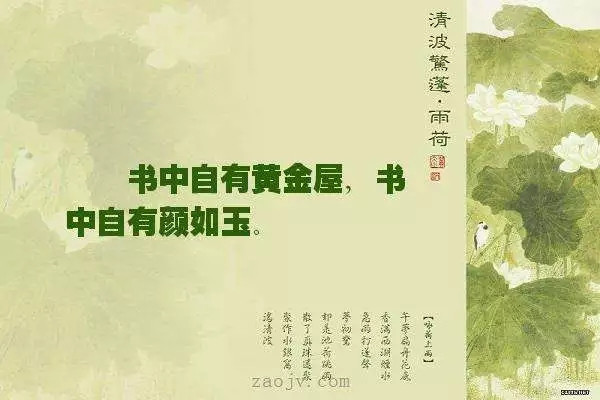 教授变形记：名利重于泰山，操守轻于鸿毛