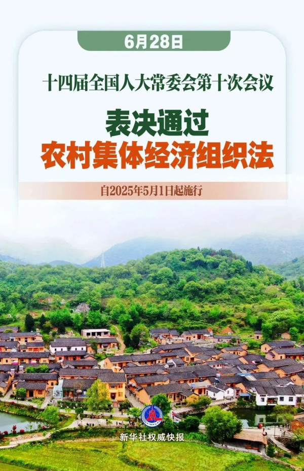 一文读懂《农村集体经济组织法》，这些变化需注意！