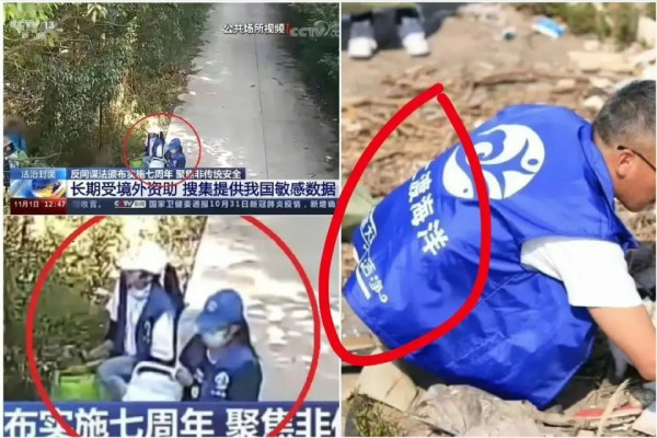 哈佛女孩，“圣母”味儿太重！