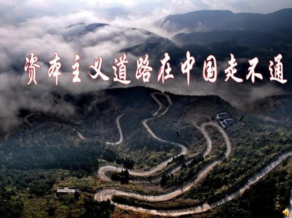 张志坤：资本主义道路在中国永远行不通