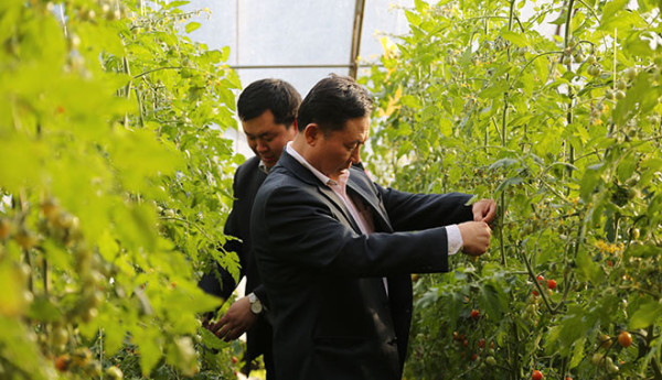 “拼命书记”范振喜的榜样力量，激励年轻党员实干担当建新功