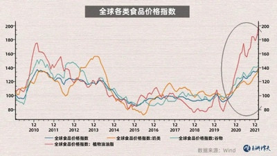 “粮食危机”逼近，谁是幕后推手？