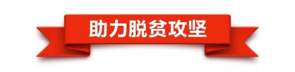 播种新希望，习近平的寄语情深意长