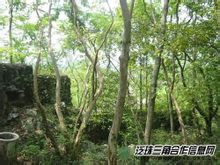 瑞金革命遗址