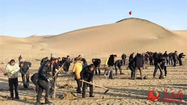 陈先义：昆仑山下一老兵，16年不负毛主席对359旅的嘱托