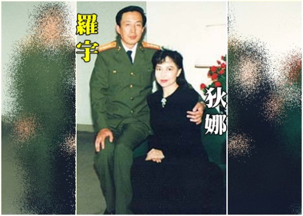 太史简：罗瑞卿之子罗宇的叛徒真面目