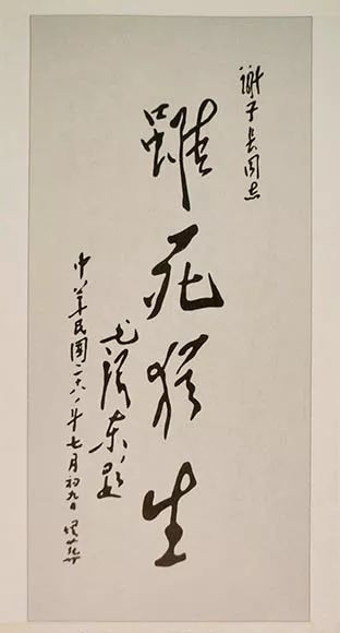 谢绍明：我的父亲谢子长