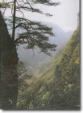 娄山关