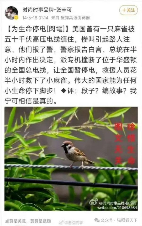 从动车临停救人看中国网络被渗透的过往