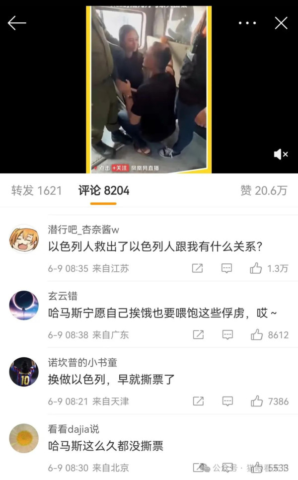 谁在炒作中以混血儿被救出？