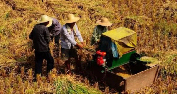 某经济学家说中国农民懒惰愚蠢，简直混账