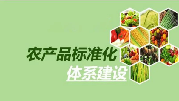 余云辉：站在历史转折点谈解决社会就业的根本出路