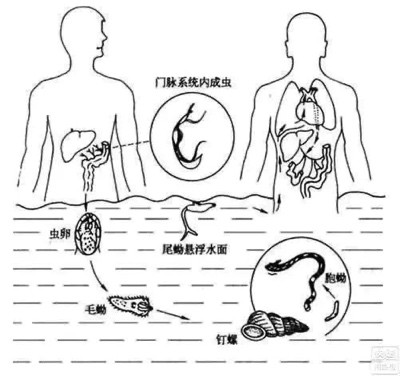 毛主席曾亲自督战，60多年前在上海曾这样全民动员驱逐“疫魔”