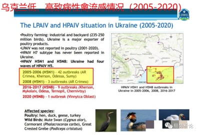 新冠病毒的起源众说纷纭，但却全都绕不开美国....