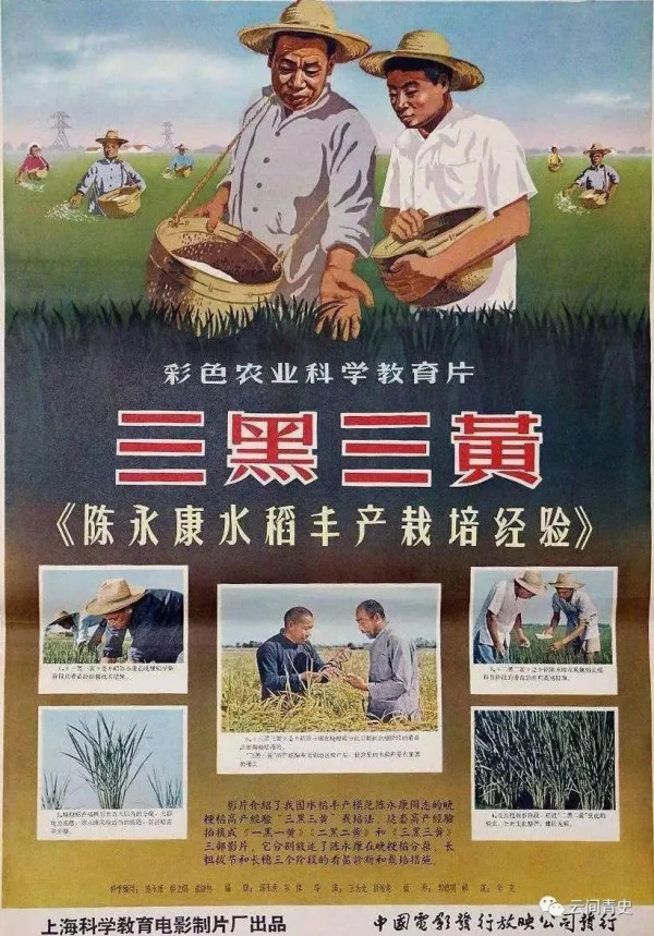 金善宝：科技育种也该走好群众路线