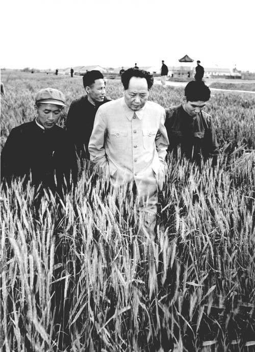 蒋建农：毛泽东的“知行观”