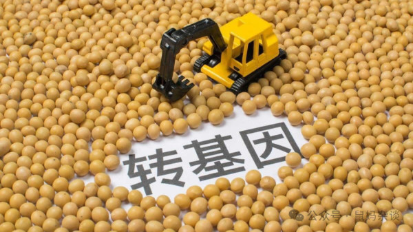 粮食霸权：美国盘剥世界的最后一条锁链