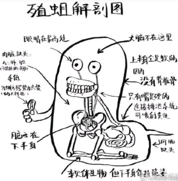 千亿贸易顺差，很“危险”吗？