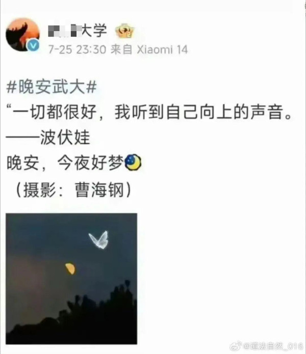 多个985高校官微吹捧的波伏瓦，究竟是个什么人？