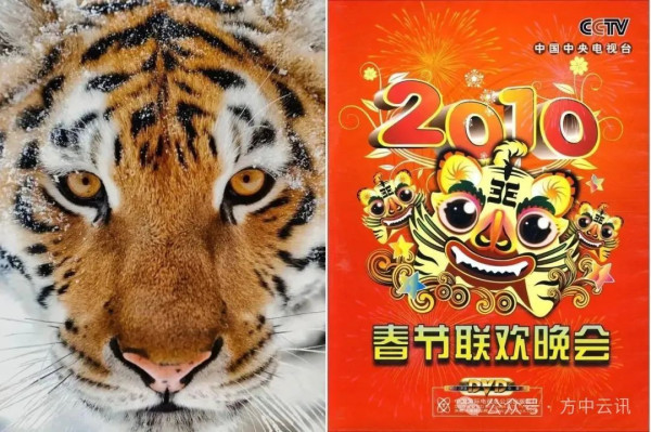 《雄狮少年》的眯眯眼