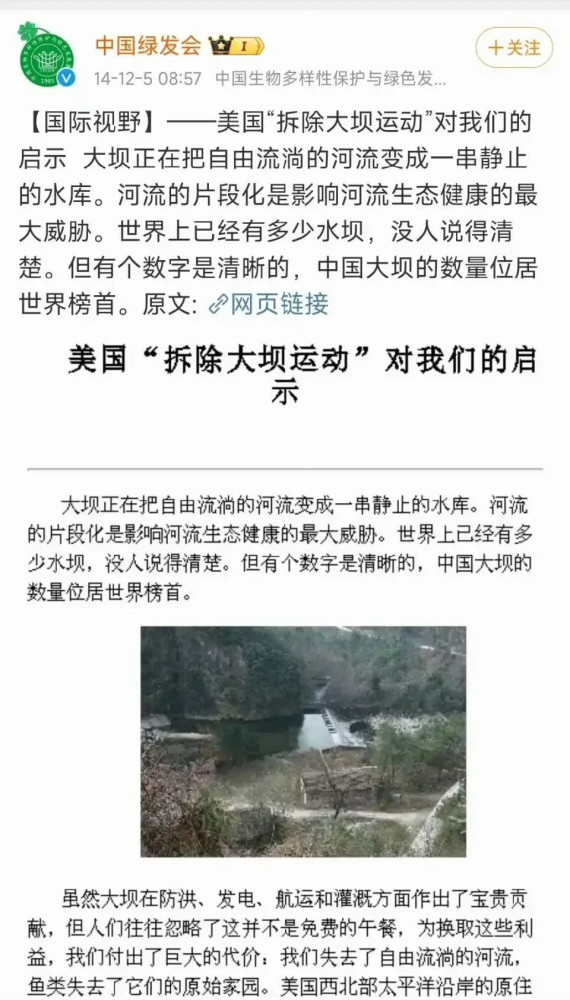 哈佛女孩，“圣母”味儿太重！