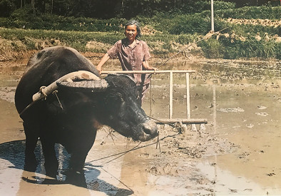 “我是毛主席的邻居，不能给他丢人”