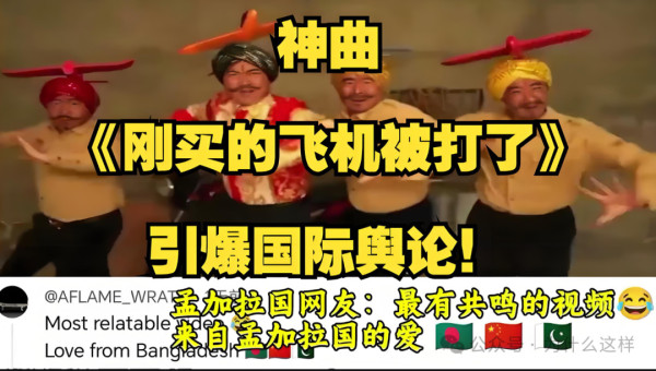 网络神曲《刚买的飞机被打掉了》怎么就踩了他们的尾巴？