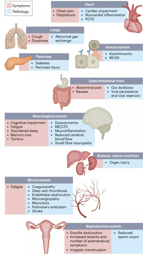 Nature重磅综述：如果不采取行动，长新冠或会造成终身残疾