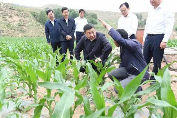 我的心一直向往老根据地——习近平在山西吕梁考察