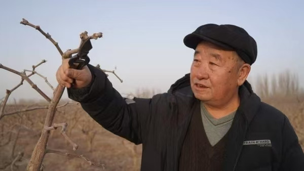 陈先义：昆仑山下一老兵，16年不负毛主席对359旅的嘱托