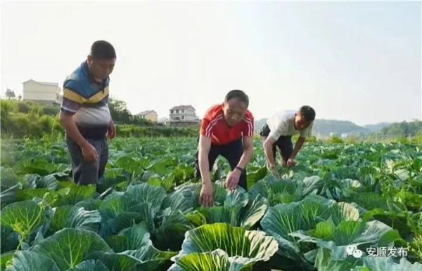 塘约道路是靠外部力量强行扶持的特例吗？