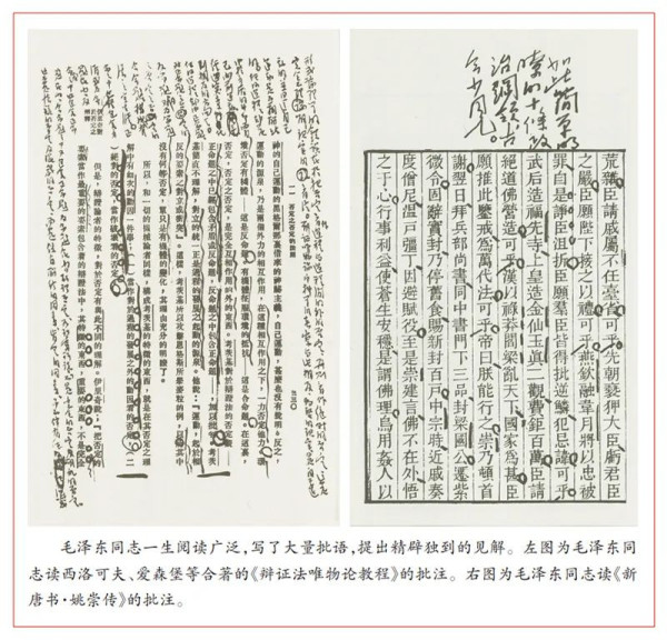 陈晋：向毛主席学习如何读书