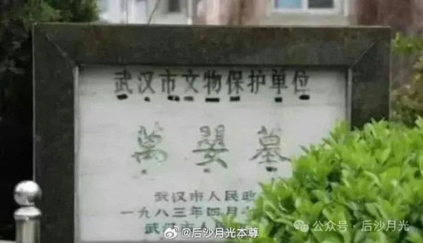 爱尔兰化粪池800具幼童遗骨和旧中国的“育婴堂”