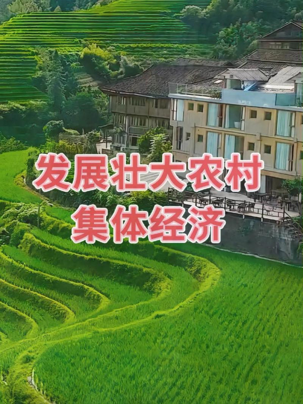 程恩富 王君玺：新质生产力如何赋能新型农村集体经济？