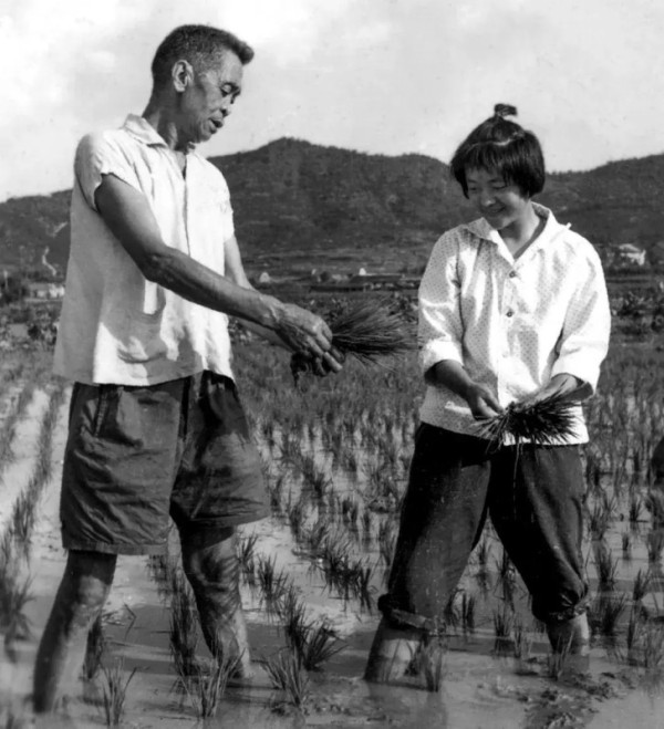 这位“农民将军”为什么能做到“零特权”家风？