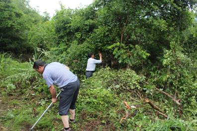 修水红研会志愿者冒雨清整抗战英烈舒汉璧墓地