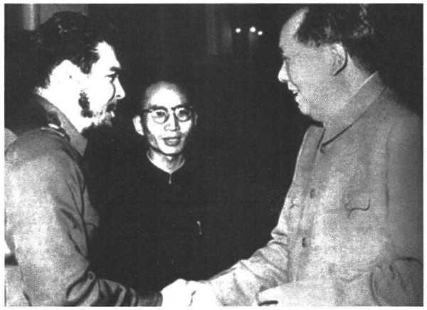 陈晋：毛泽东·格瓦拉·游击战：两代游击英雄的对话
