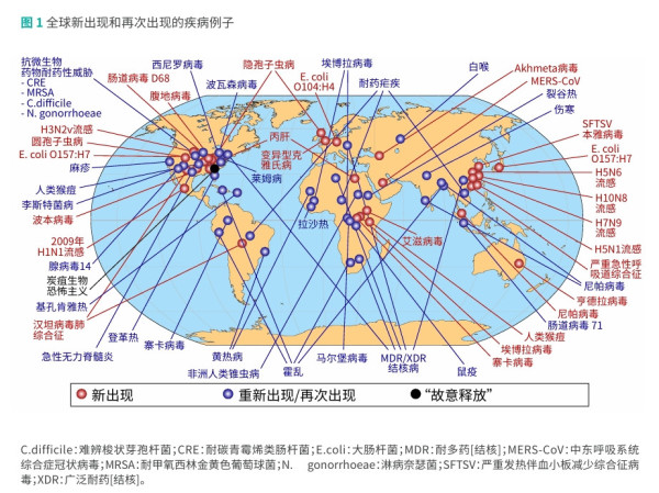 从土地到餐桌，资本主义如何制造传染病