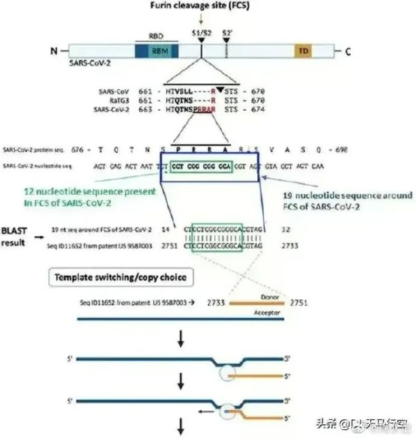 突发：英媒宣称，研究证实新冠病毒是美国公司制造