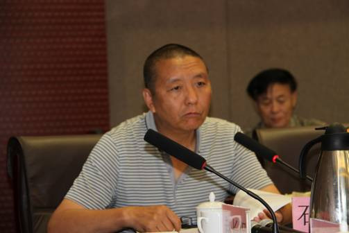 石生华发言：不求面面俱到，只求有所突破