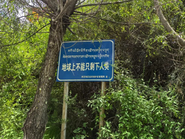 集体经济蓬勃发展的西藏